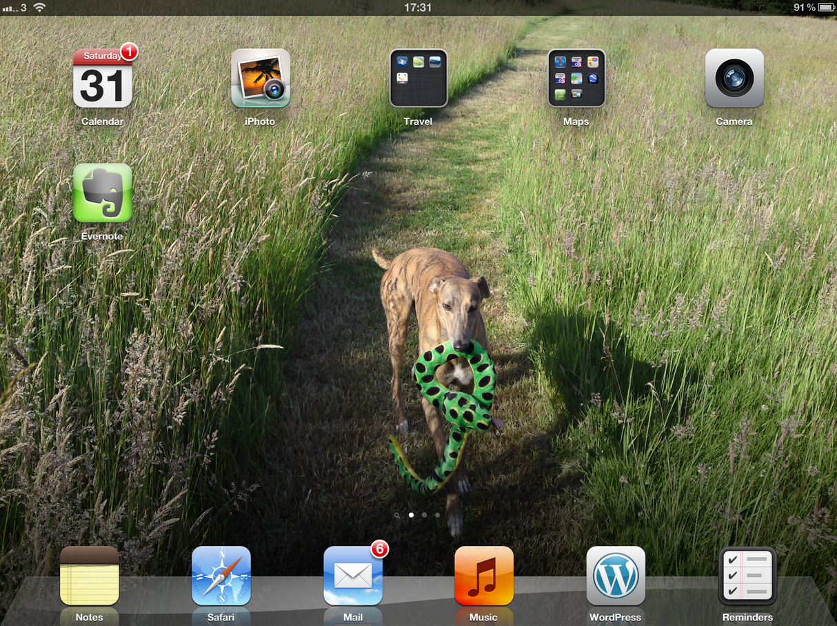 iPad screenshot
